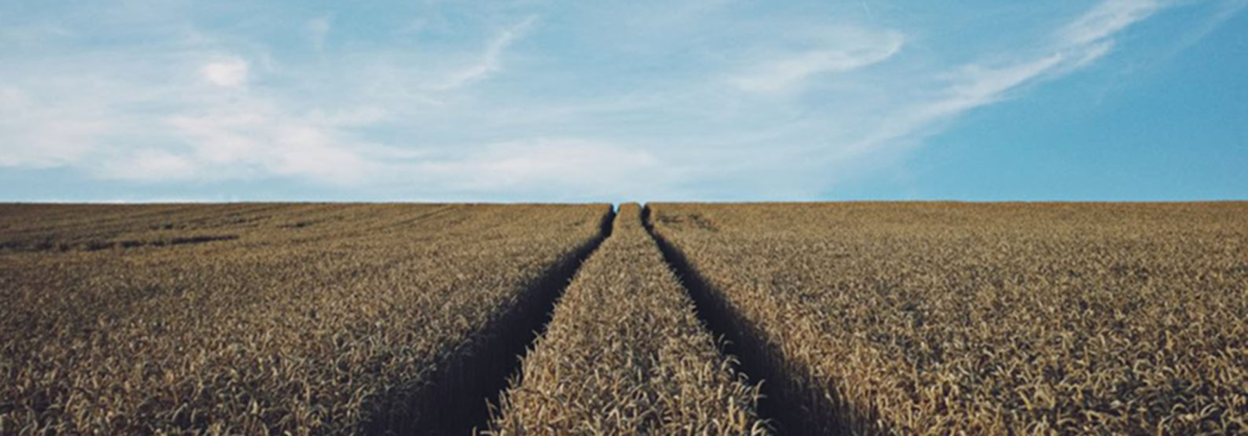 Agrihost - crop insurance software